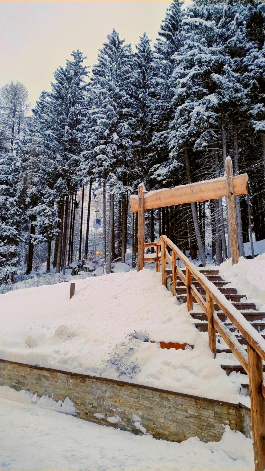 Ale 1206, Marilleva 1400 Accesso Diretto Alle Piste 외부 사진